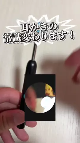からくりのTikTok投稿