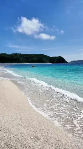 沖縄グルメ／OKINAWA SELECTのTikTok投稿