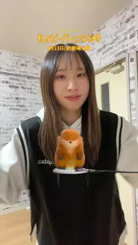 美花夢みちこ(ハム吉🐹)のTikTok投稿