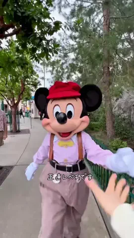 🌙のTikTok投稿