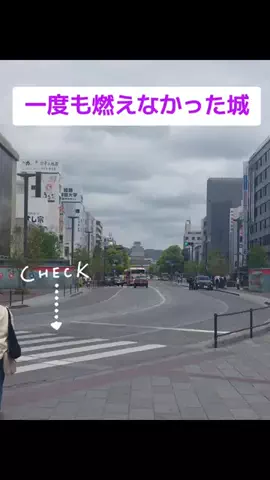 まけるなのTikTok投稿