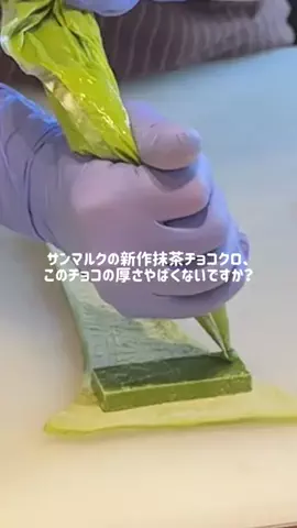 PaddingtonのTikTok投稿