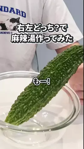 いいモノギークスのTikTok投稿