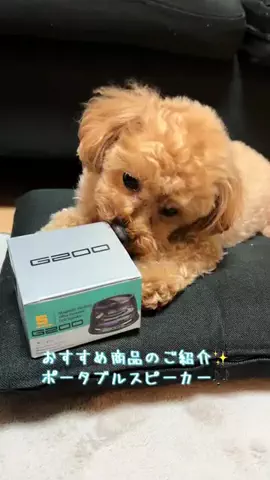 モカたん🐶🍀のTikTok投稿
