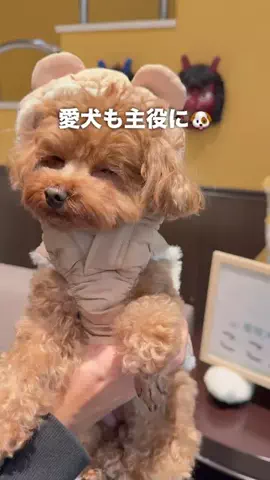 コスパ旅@コスパ良くオシャレに旅行✈️のTikTok投稿