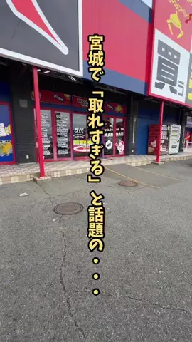 宮城情報局【イベント|トレンド|グルメ】のTikTok投稿