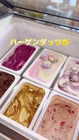 コスパ旅@コスパ良くオシャレに旅行✈️のTikTok投稿