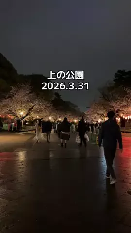みわたび.comのTikTok投稿