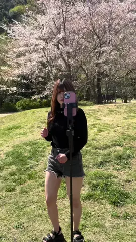 フッカルfamilyのTikTok投稿