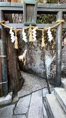 やまたび🦎【今週のデートはここで決まり】のTikTok投稿