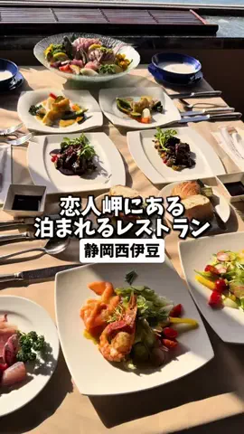 日本グルメのTikTok投稿