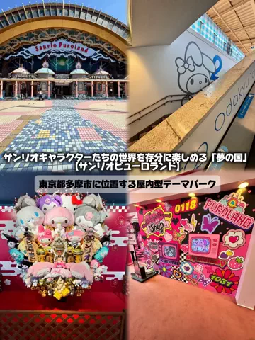 日本グルメのTikTok投稿