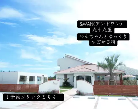 koji7777@のTikTok投稿