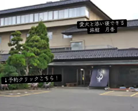 koji7777@のTikTok投稿