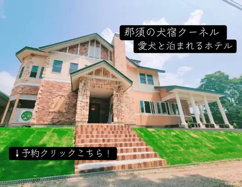 koji7777@のTikTok投稿