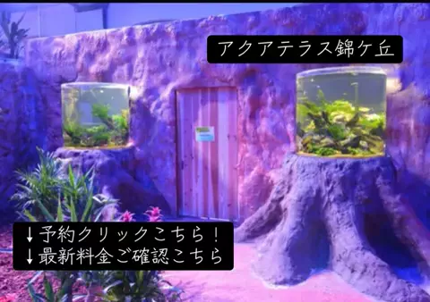 koji7777@のTikTok投稿