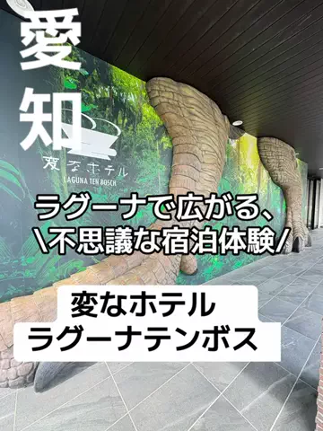 ラベちゃん🪻温泉旅♨️のTikTok投稿