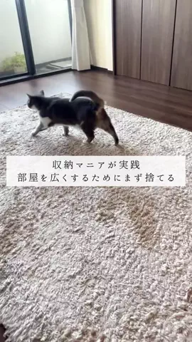 hina｜余白のある暮らしのTikTok投稿