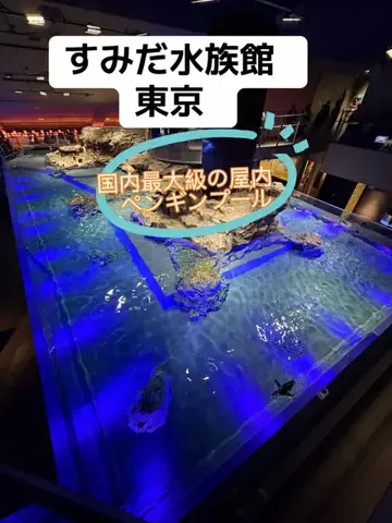 ラベちゃん🪻温泉旅♨️のTikTok投稿