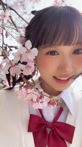つぶ貝のTikTok投稿