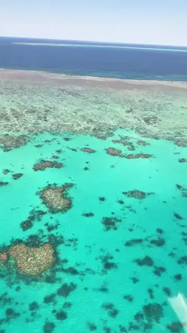 旅するめぐも✈️のTikTok投稿