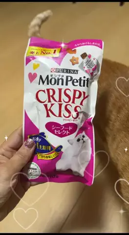 渡邊さん家の猫🐈のTikTok投稿