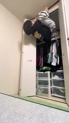 ゴン太のTikTok投稿