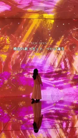 MIZUKI | 東京おでかけスポットのTikTok投稿