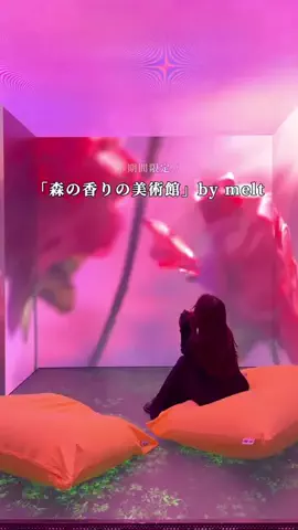 MIZUKI | 東京おでかけスポットのTikTok投稿