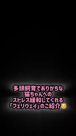 くぅ🐱TikTok猫部🌸🍀のTikTok投稿
