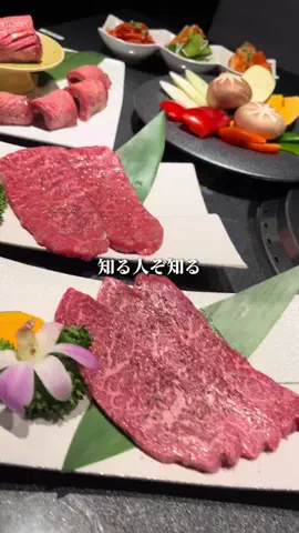 いぬぐるめのTikTok投稿