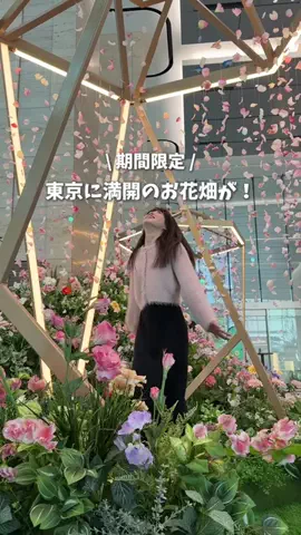 ひだまり｜東京発おでかけカップル☀️のTikTok投稿
