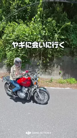 バイク女子ボウラーAIKAのTikTok投稿