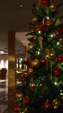 shuu_22_のTikTok投稿