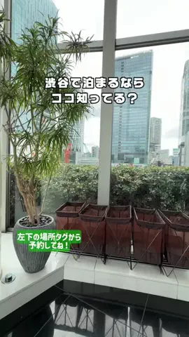 puchi_maoのTikTok投稿