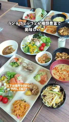 puchi_maoのTikTok投稿