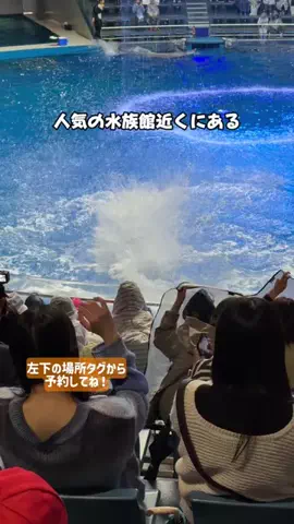 puchi_maoのTikTok投稿
