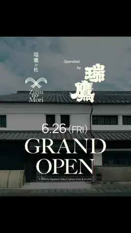 kumacoのTikTok投稿