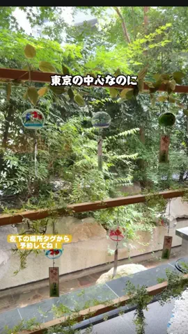 puchi_maoのTikTok投稿