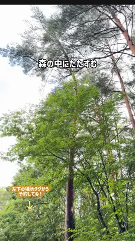 puchi_maoのTikTok投稿