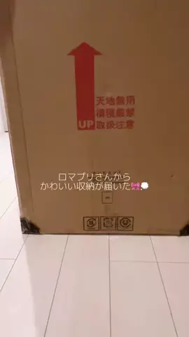 かえめろのTikTok投稿