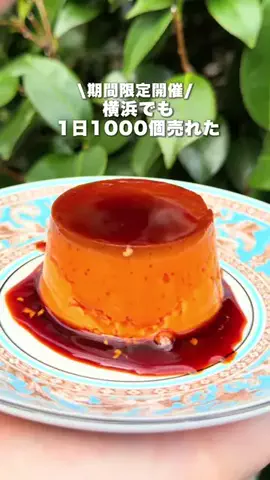 ぎゃらぴかのTikTok投稿