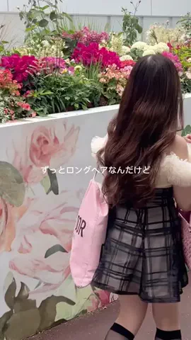 かえめろのTikTok投稿