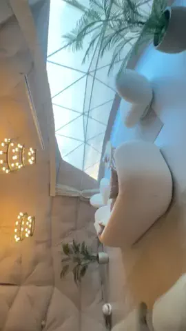 杏のTikTok投稿