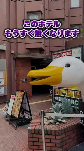 トコトコ日記✈️｜旅とホテル案内のTikTok投稿