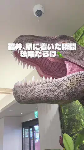 KAKIのTikTok投稿