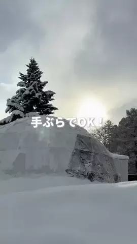 はるのTikTok投稿