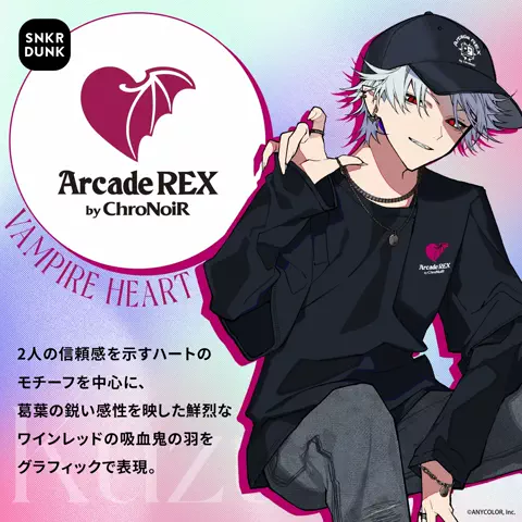 ChroNoiRのTikTok投稿