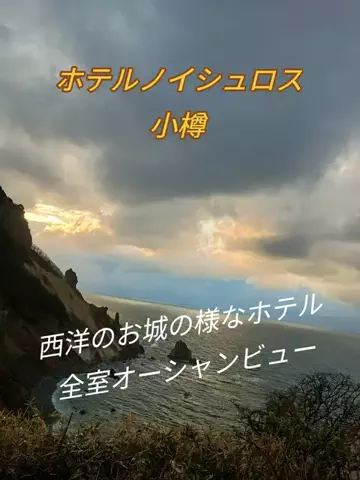 トータスのTikTok投稿