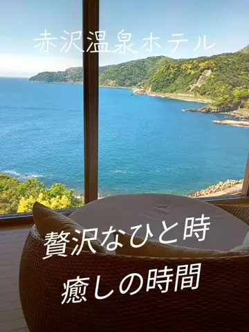 トータスのTikTok投稿